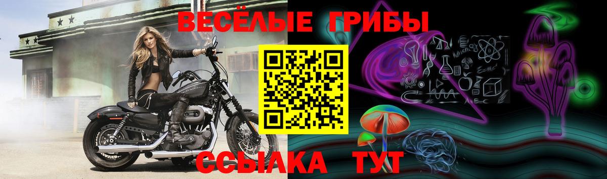 Псилоцибиновые грибы ЛСД Орск