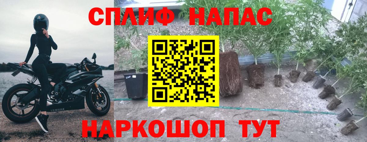 Бошки марихуана гибрид Орск